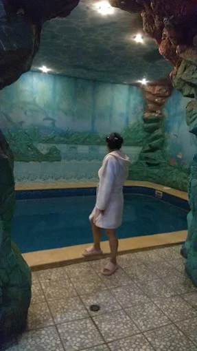 Баня на Днестровской — сауны и бани Харькова