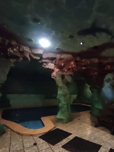 Баня на Днестровской — сауны и бани Харькова